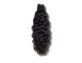 Burmese Curly