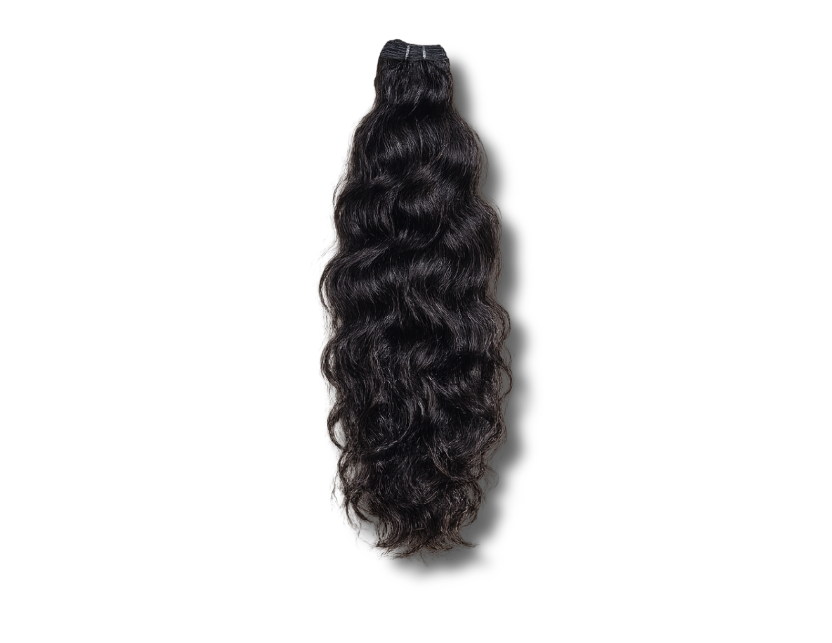 Burmese Curly